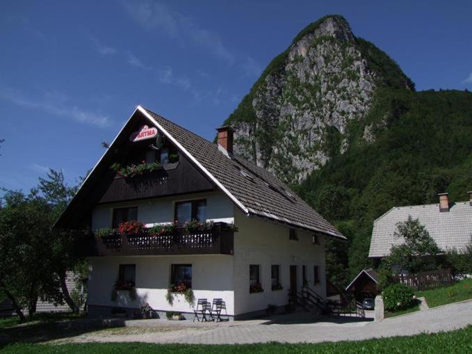 Joze Pekovec Apartment *