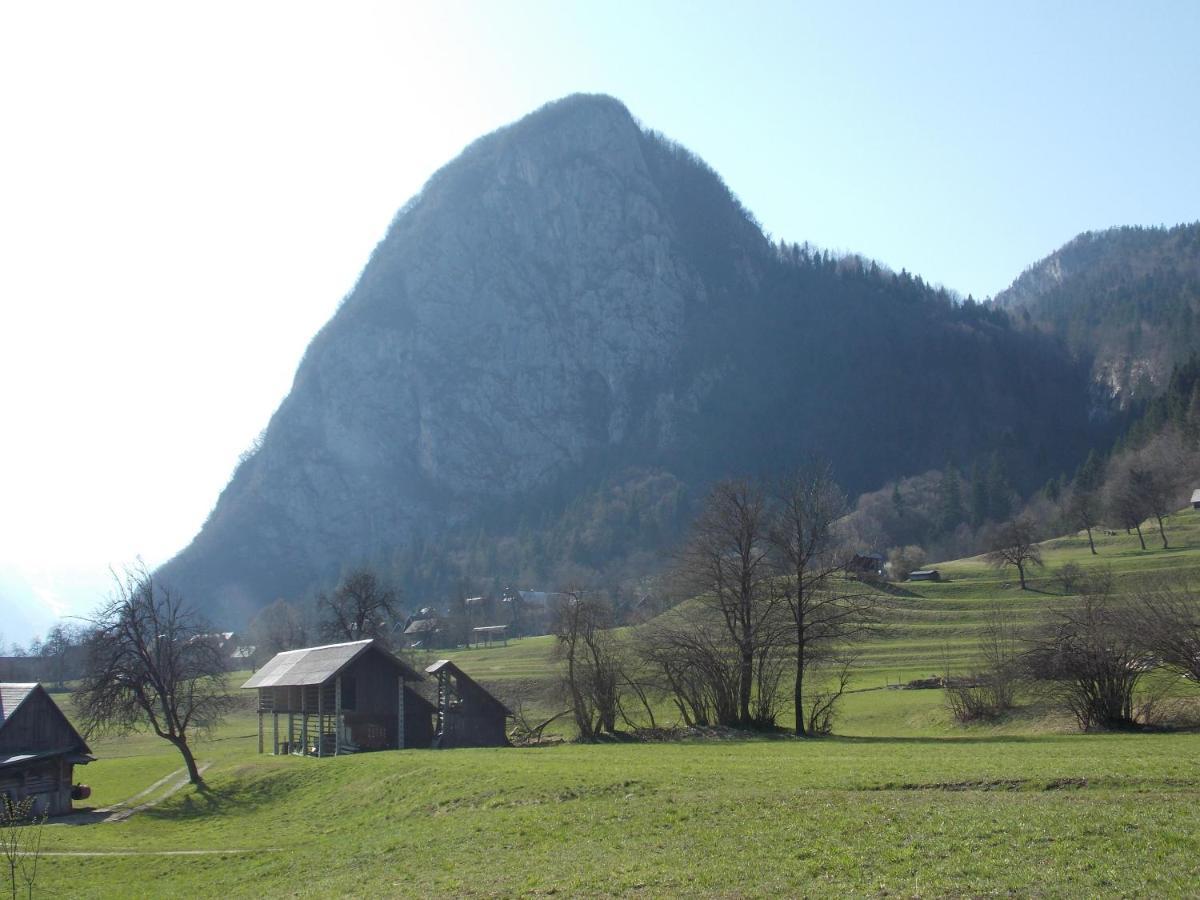 Apartment Joze Pekovec *